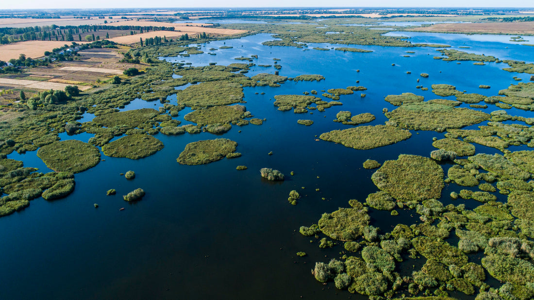 La Lotta Dell’Ucraino Ievgenii Per Le Zone Umide: Nonostante La Guerra, Un Grande Progetto Per L’Ambiente.