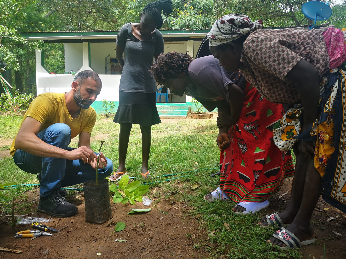 1 Albero in Kenya - Tree Nursery Project