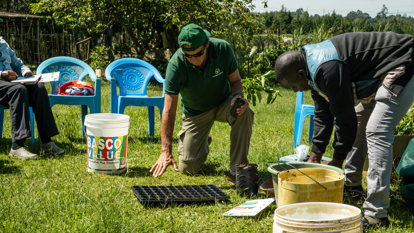 1 Albero in Kenya - Tree Nursery Project