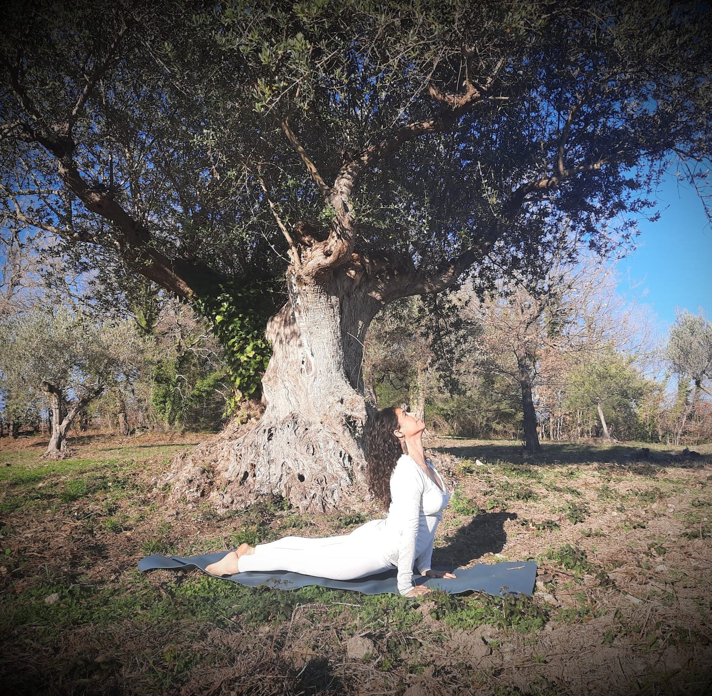 Abruzzo - Giardino delle Farfalle