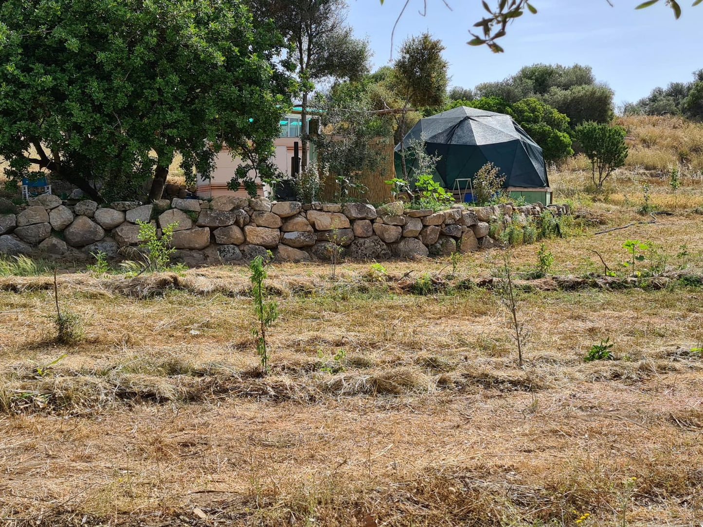 Sardegna - Oasi delle Api