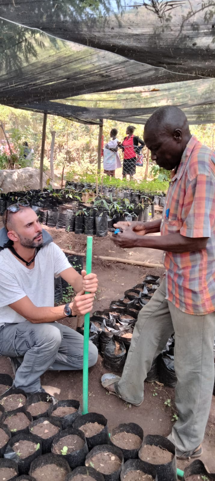 1 Albero in Kenya - Tree Nursery Project