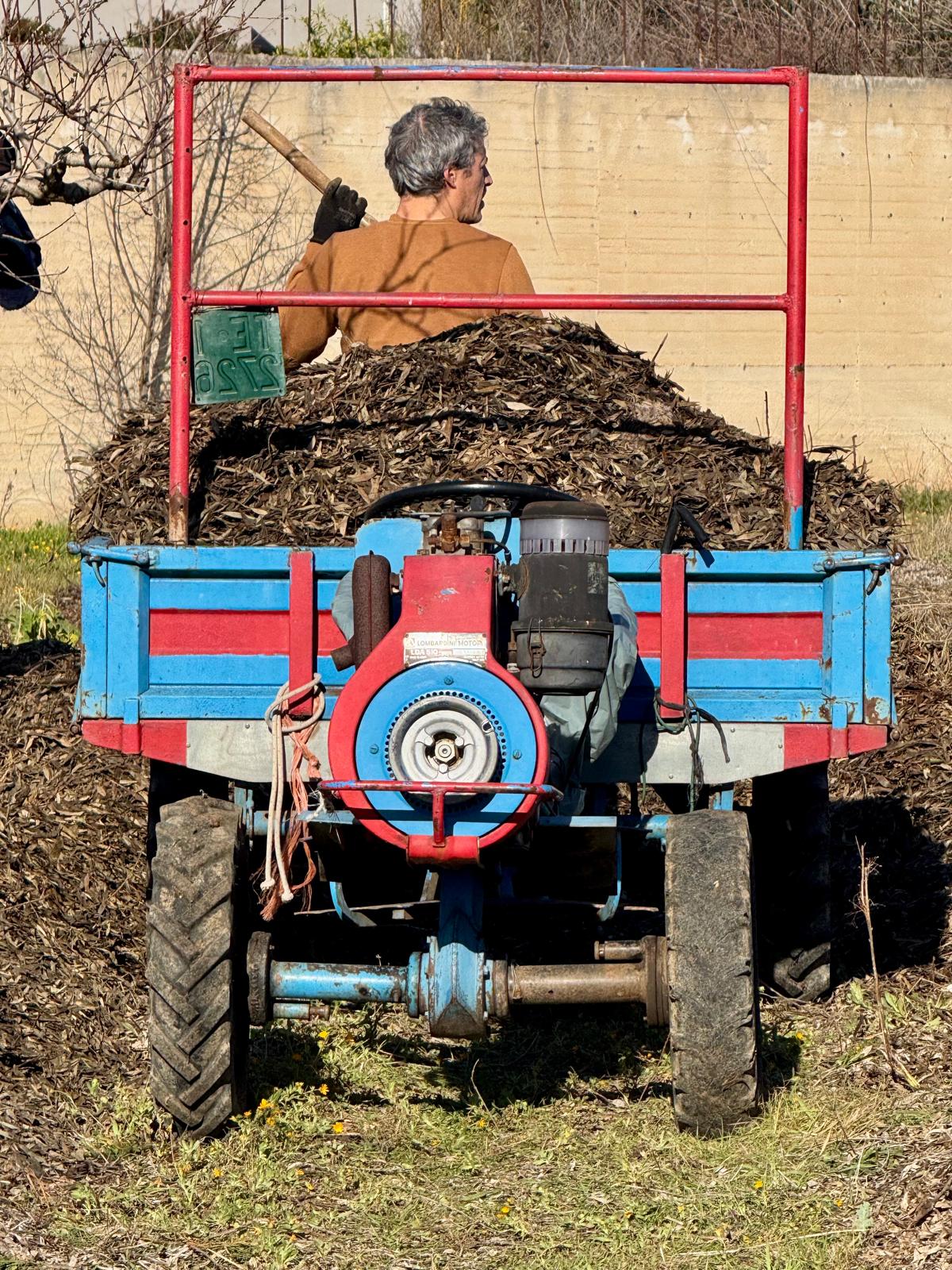 Puglia - La Tenuta del Levante
