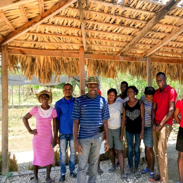team a haiti di persone che piantano alberi  per treeonfy piantumazione a distanza