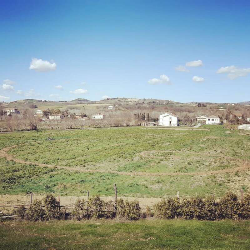 Abruzzo - Il Bosco dei Lonfi 🌳