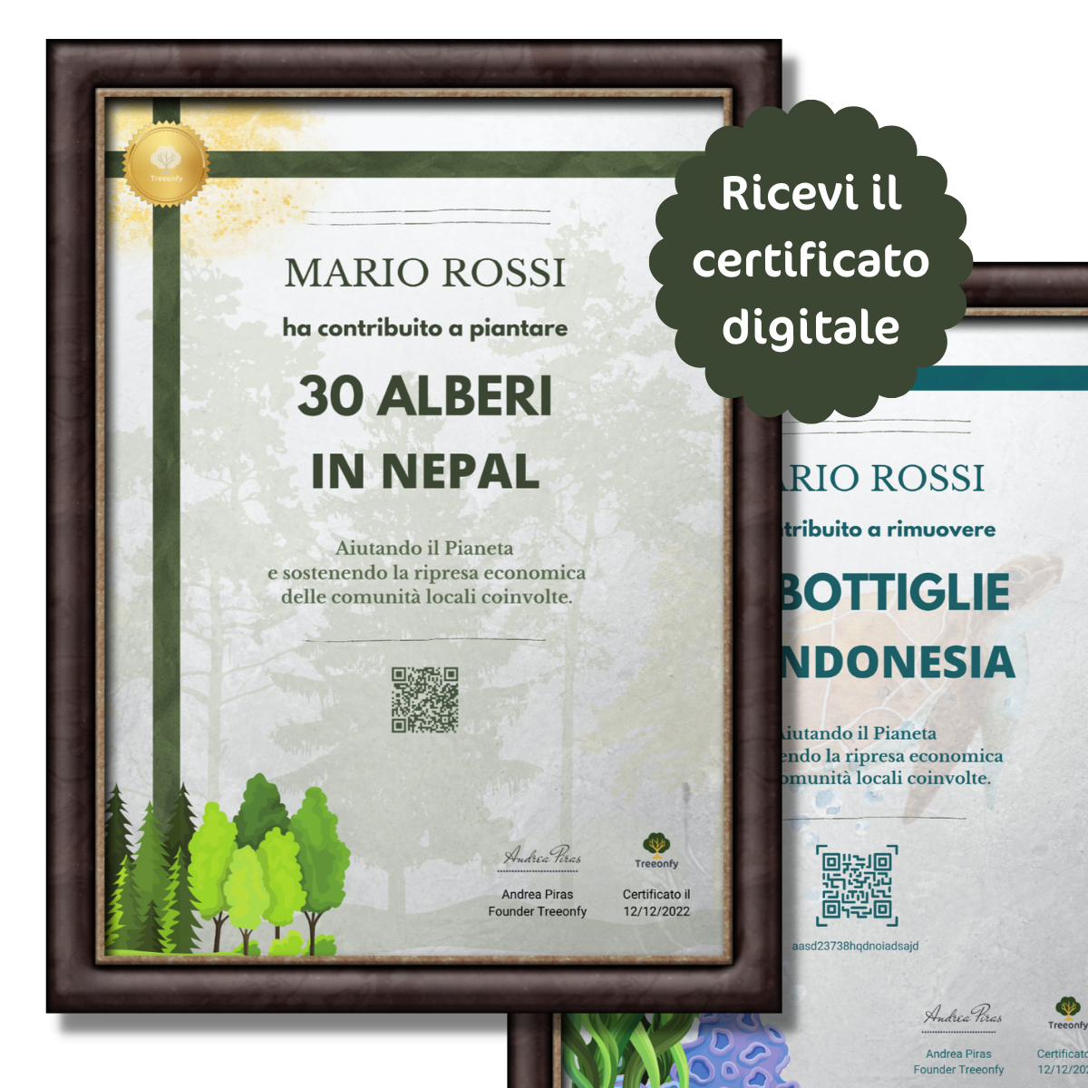 30 Alberi in Nepal