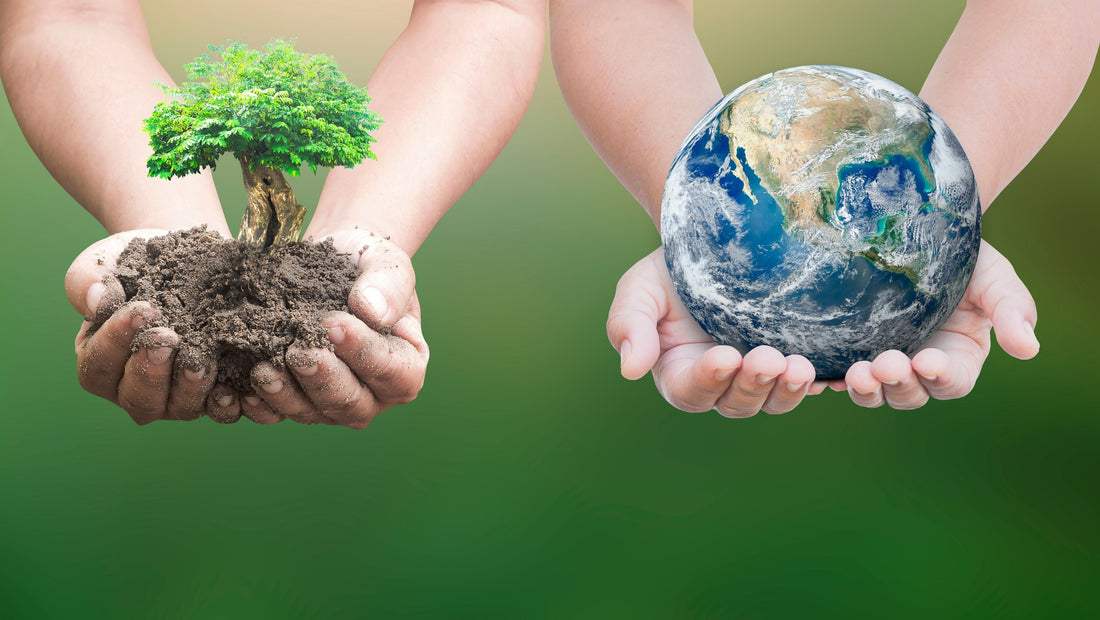 mani che tengono albero e pianeta treeonfy startup protezione pianeta