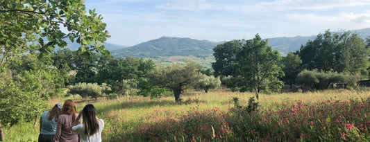 "Il Giardino delle Farfalle": Rinascita Verde nel Cuore dell'Abruzzo
