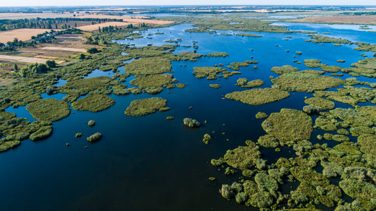 La Lotta Dell’Ucraino Ievgenii Per Le Zone Umide: Nonostante La  Guerra, Un Grande Progetto Per L’Ambiente.