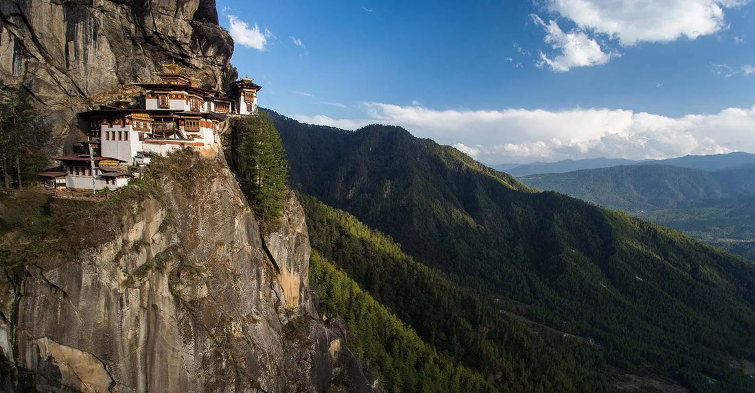 Quali Sono Le Cause Principali Della Deforestazione In Nepal? – Treeonfy