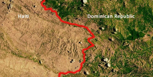 Quali Sono Le Cause Della Deforestazione Ad Haiti?