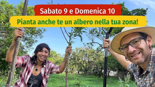 "La Era Nuova": Piantiamo Alberi per un Futuro più Verde