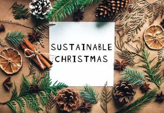 Come Rendere Il Natale Sostenibile + 3 Idee Regalo