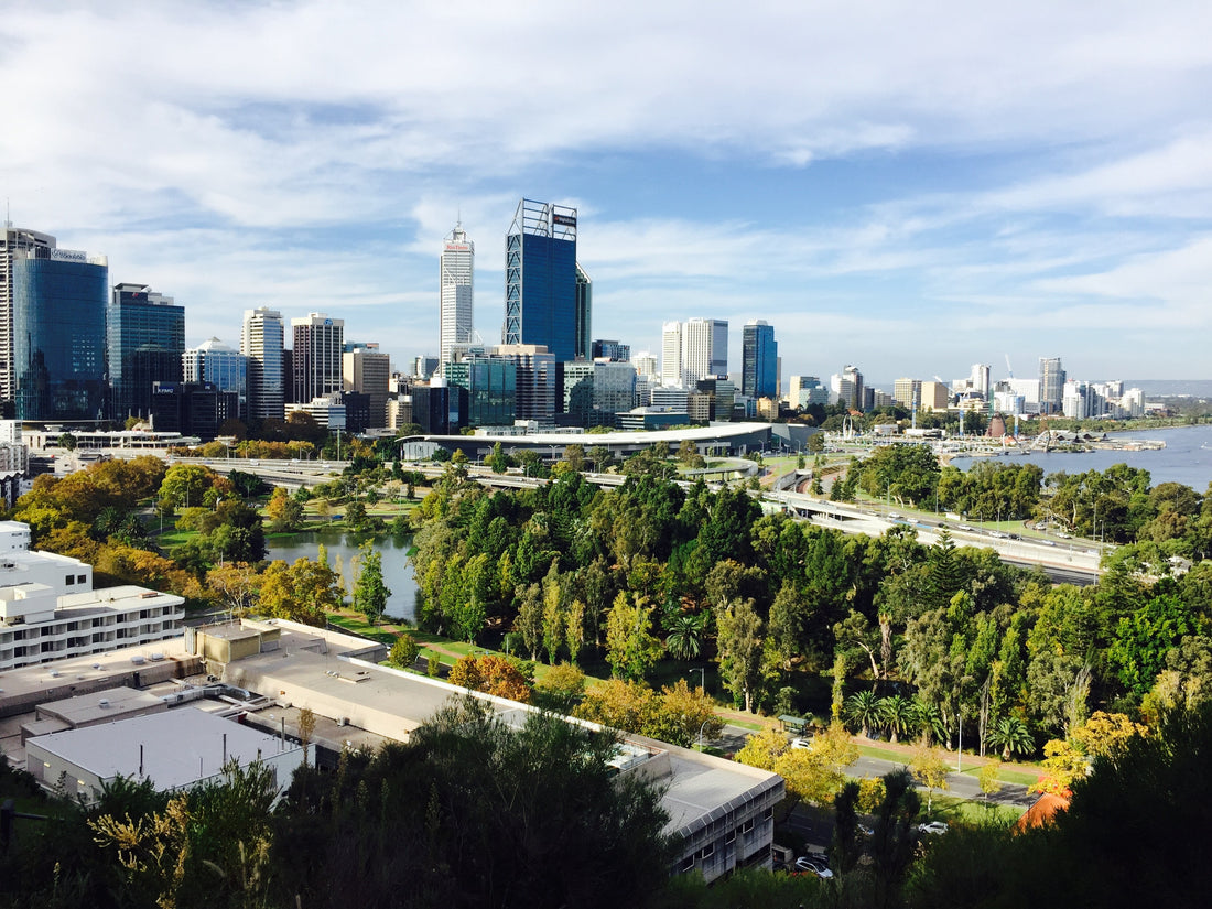 green city treeonfy