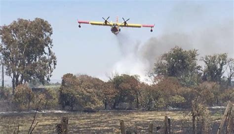 Incendi Sardegna 2023: tra devastazione e speranza