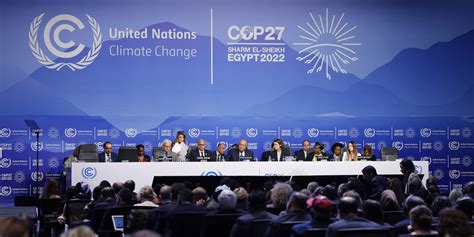 7 Cose Che Devi Sapere Su COP27