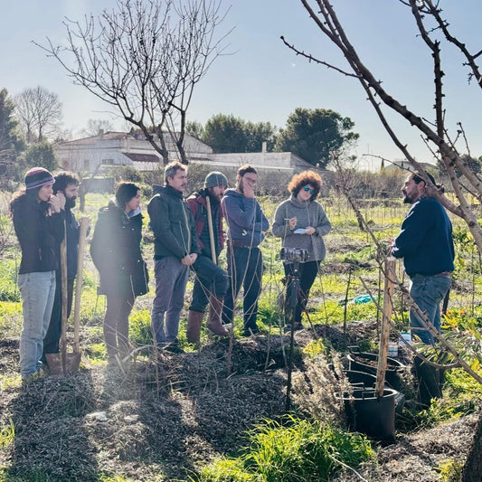 Puglia - La Tenuta del Levante