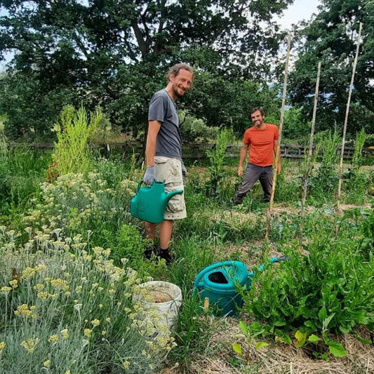 Abruzzo - Giardino delle Farfalle