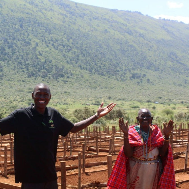 progetto in kenya con kenyani riforestazione