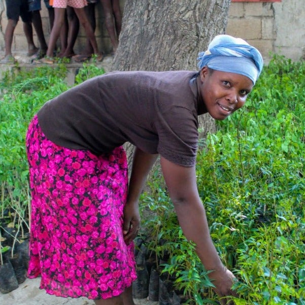 donna africana con gonna con piantine vivaio alberi treeonfy riforestazione