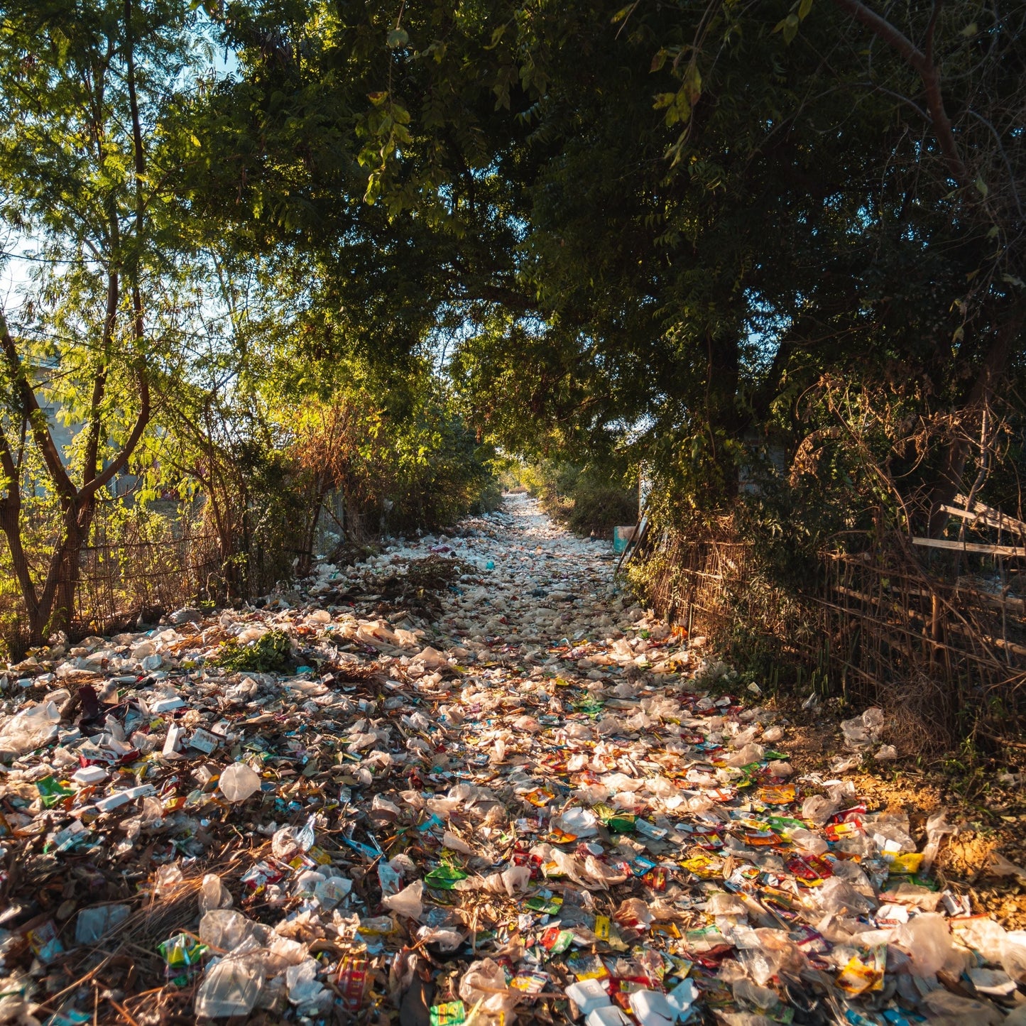 strada piena di plastica rifiuti rimozuone treeonfy