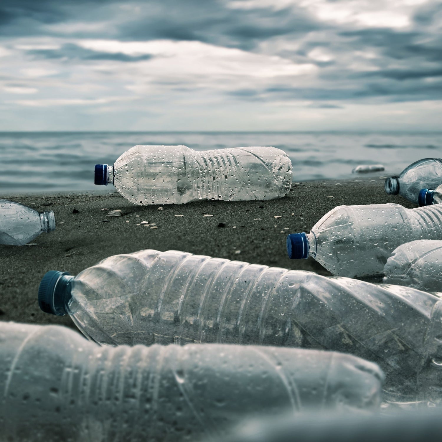 mare e spiaggia con bottiglie di plastica