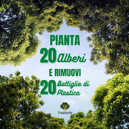 Pianta 20 Alberi in Madagascar e Rimuovi 20 Bottiglie di Plastica